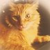 Jose Maria Marti (@josemari2604) Twitter profile photo Jose Maria Marti (@josemari2604) Twitter profile photo