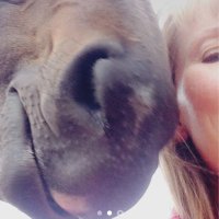 Raelene Harrison (@raelsharrison) 's Twitter Profile