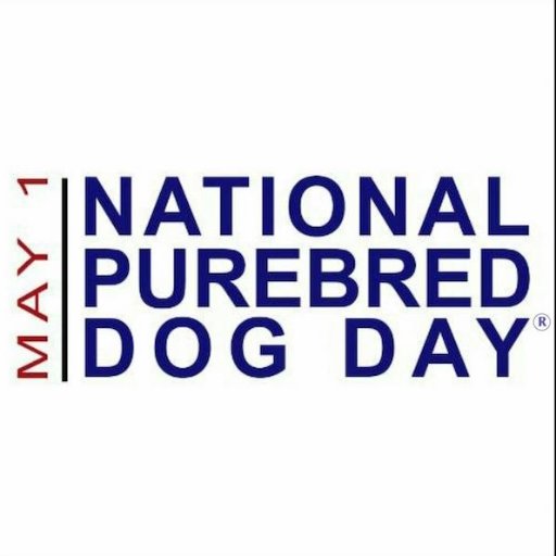 NPurebredDogDay Profile Picture