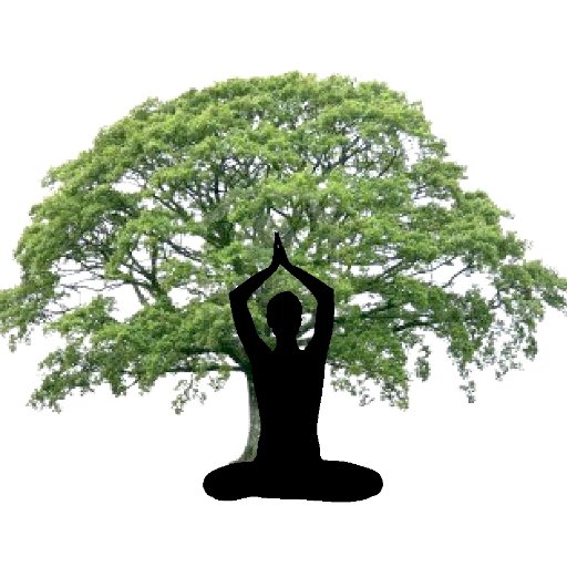 Holistic Alameda CA covers meditation to medicine, with wider Bay Area items & gen health shares. https://t.co/hUscZ5Jj6d • https://t.co/q5IPPVAbr6