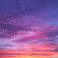 たーぼう (@haga0420tatuo) 's Twitter Profile