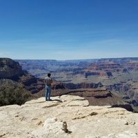 Joo Ha Hwang, MD PhD (@joohahwang) 's Twitter Profile Photo Joo Ha Hwang, MD PhD (@joohahwang) 's Twitter Profile Photo