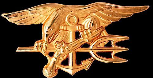 AskaNavySEAL's profile picture. 