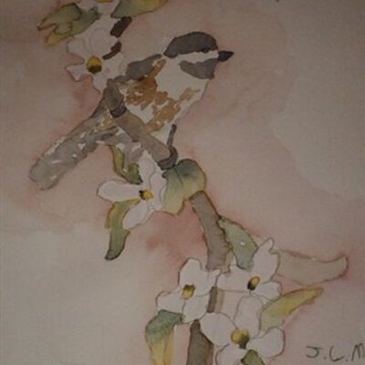 Profile Picture of Anne Chillingworth Shaffer (@professoranne) on Twitter