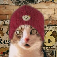 Janis (@janisfelidae) 's Twitter Profile