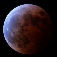 Ryo (@ryosinger) 's Twitter Profile Photo