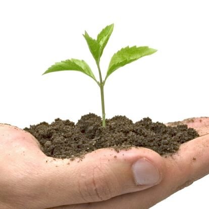 artist_Vinnie's profile picture. Software Engineer & Artist