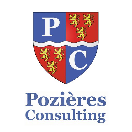 Pozières Consulting is a Political Risk Advisory firm that provides clients with insights and analysis on the turbulent confluence of business and politics.