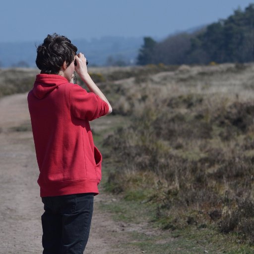 Birder, recent graduate in wildlife conservation.