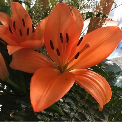 Loves the weather. Chat about anything you want. Love phone chat. lamplighter10 on telagram. share likes and on TeleGuard