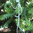 Julia Wallace - @jxwmage - Twitter