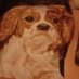 Felicita Corleocci (@eb3304ed29204ce) Twitter profile photo Felicita Corleocci (@eb3304ed29204ce) Twitter profile photo