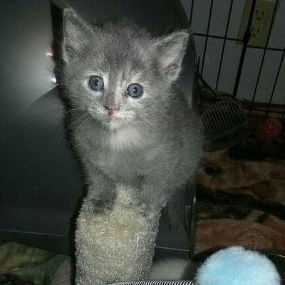 AdryanDietle's profile picture. 