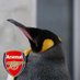 🐧よっぴー🐧🏳️🌈🇺🇦🍉 (@yoppi69) Twitter profile photo 🐧よっぴー🐧🏳️🌈🇺🇦🍉 (@yoppi69) Twitter profile photo