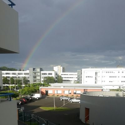 sissie96's profile picture. 