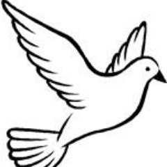 PeacefestivalUK's profile picture. Welcome to the 2017 Peace Festival (16 Sept). If you are a holistic therapist or want a stall at the festival contact Beryl on 07765077248 or belmyb@live.com