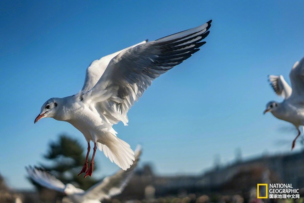 jsbe263's profile picture. Acg