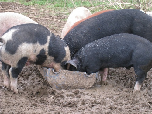 katherinekims's profile picture. 