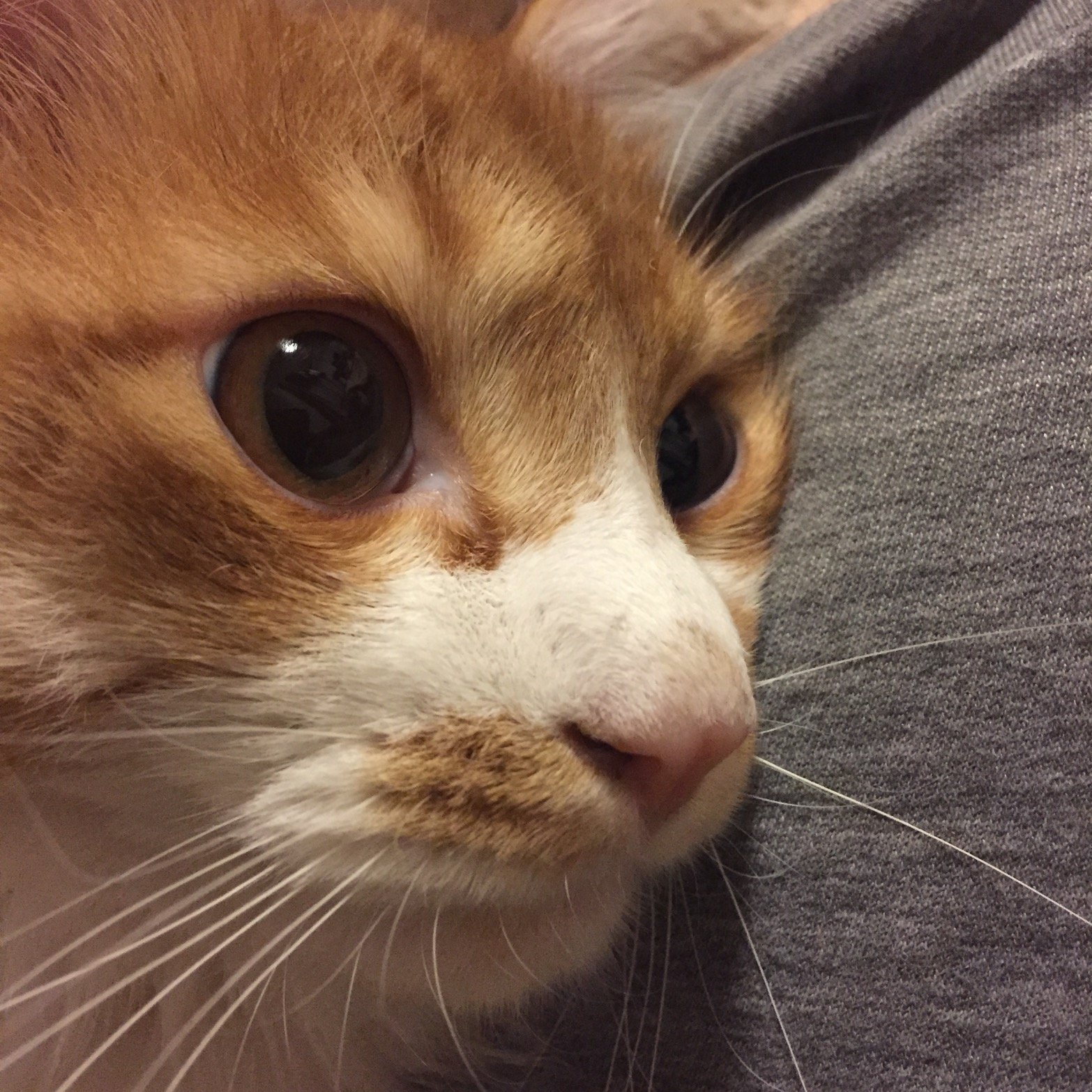 nao19670712's profile picture. 