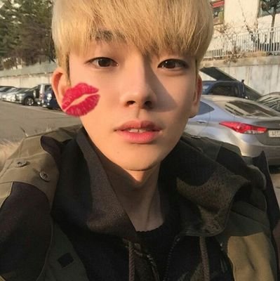 seongwoo_rvl's profile picture. je suis un chaton, miaou