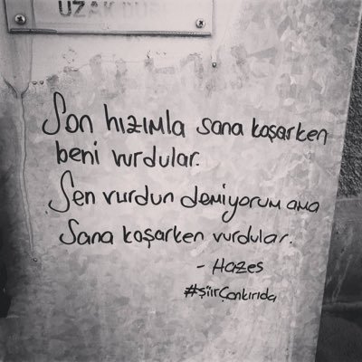 laylaylommus's profile picture. 