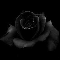 TovoniaSafrit's profile picture. New adventures await!!