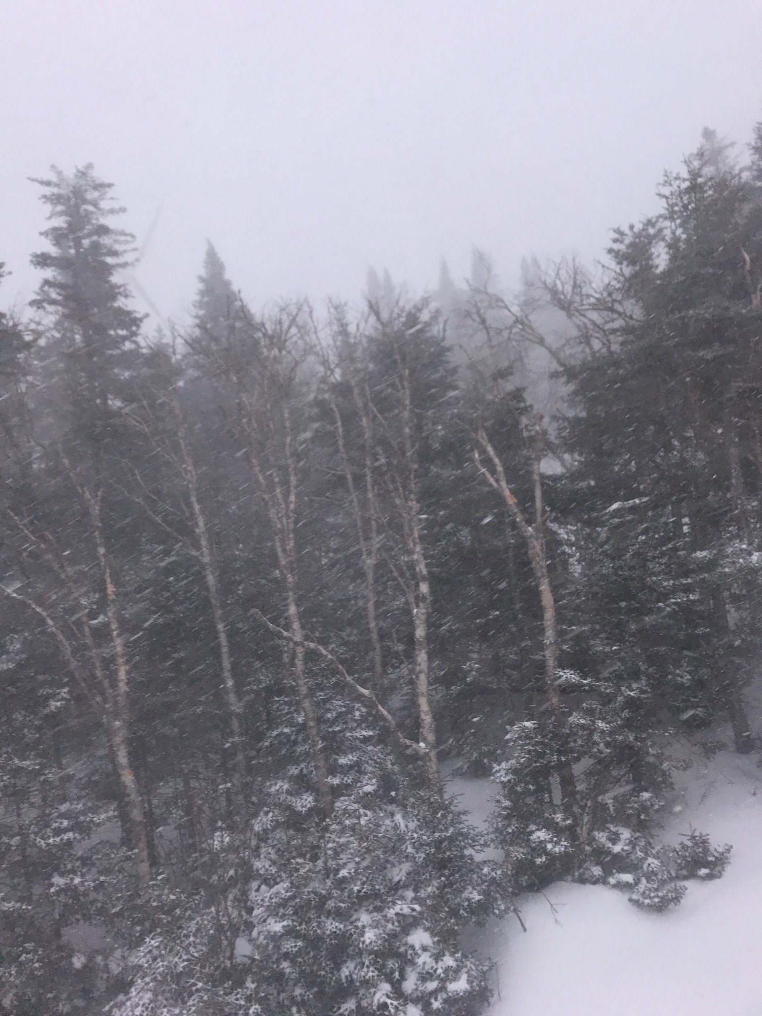 JoeeKellly's profile picture. 