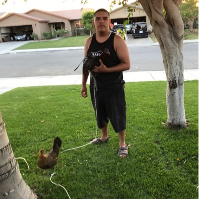 GalleroGaribay's profile picture. Mi pasión los Gallos