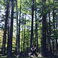 Bar Nectar D'or (@barnectardor) 's Twitter Profile