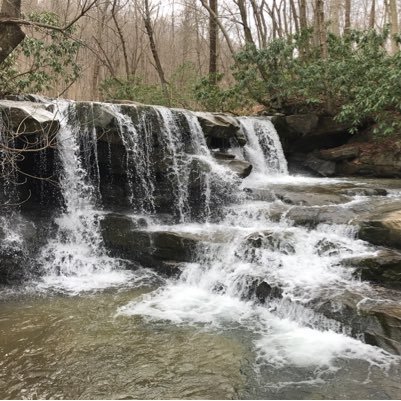 WSaorsa's profile picture. 