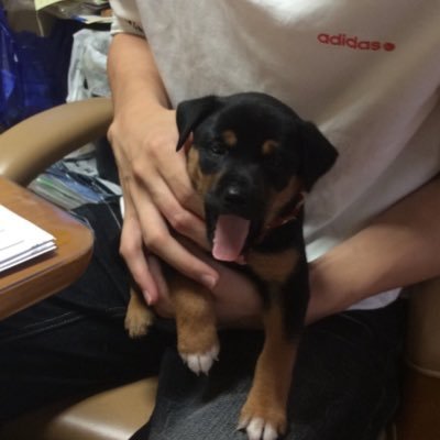 まえ