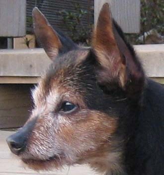 Yonghee2's profile picture. 내 소중한 사람과 같이 곱게 황혼의 인생 여정을 맞이 하고 싶습니다.