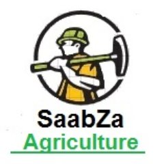 kongsinm1's profile picture. 