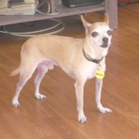 Della Wayn (@sensoramigo) 's Twitter Profile