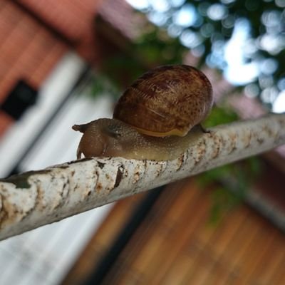 soloportiok's profile picture. 