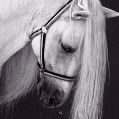 B_____asoom's profile picture. رضآڪ يَآلُلُهِ آلُٻڛهِ لُقٌلُٻيَ ڪٻآقٌةّ وُرڊ لُآٺمْوُٺ 🌹
🌹صور نسائيه ماابادل✋✋