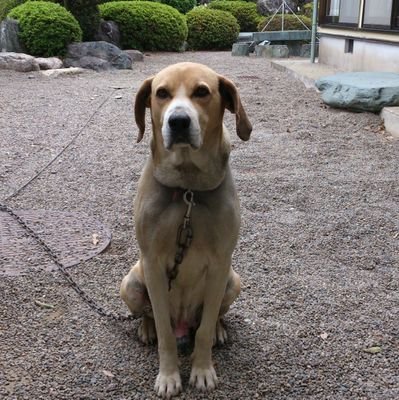 FhyiciParadise's profile picture. 