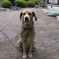 らりるれヒロン (@fhyiciparadise) 's Twitter Profile