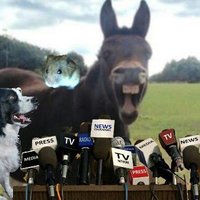 Muffin T Mule (@muffintmule) 's Twitter Profile