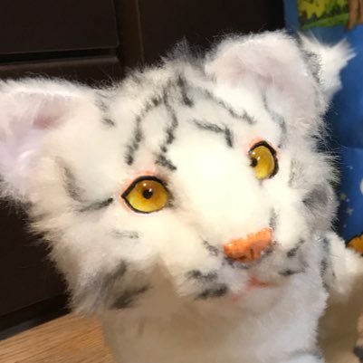 alberichnui's profile picture. アルベリヒと読みます。動物、幻獣のぬいぐるみを作っています。告知がメイン。お迎えタグ #アルベリヒっ子 ★minne→https://t.co/Y9mrcq8OTe ★西荻窪ニヒル牛さんで委託販売中★仕事の依頼はDMまで repost is prohibited