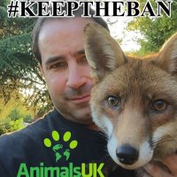 Animals UK (@animalsukltd) 's Twitter Profile