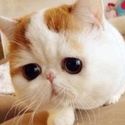 Yuto_xxx0209's profile picture. 学生しながら働いてる一児のママです👩‍👧💕スマホだけで稼げる副業を紹介中❤年齢性別関係無し👌気になった方DMお願いします🙇🏻💕💕初期費用有