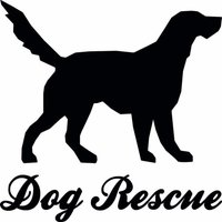 DogRescueCarcassonne(@DogRescueCarca) 's Twitter Profile Photo