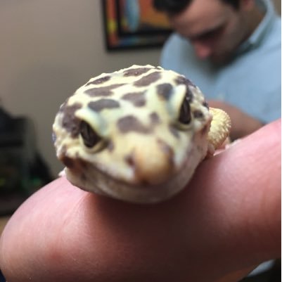 gregcoulas's profile picture. Provider of Fun facts of the day