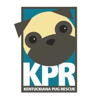 KPR (@therealkpr) 's Twitter Profile