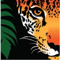 Rainforest Trust UK (@rainforestuk) Twitter profile photo