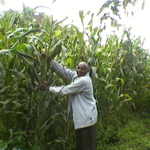 kamauwc's profile picture. 