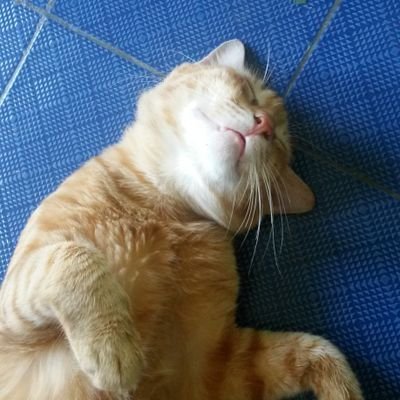 giey94's profile picture. 23