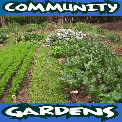 sustainable agriculture, Community Gardens, Urban Farms, hens, chickens & Household Garden Plots, local food systems, food security