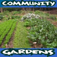 Community Garden (@gardencommunity) 's Twitter Profile